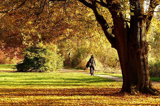 Picture of woman walking on an autumn day