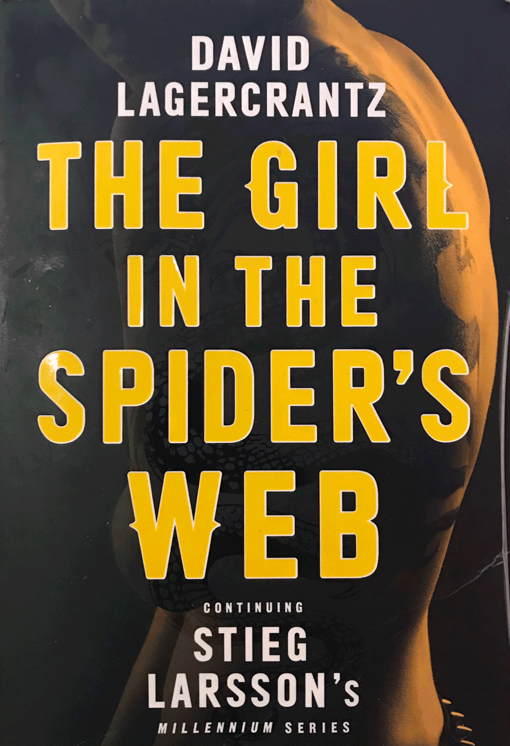 Picture of The Girl in the Spider's Web Book Cover 