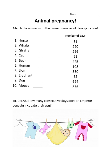 Animal pregnancy baby shower game baby boy picture