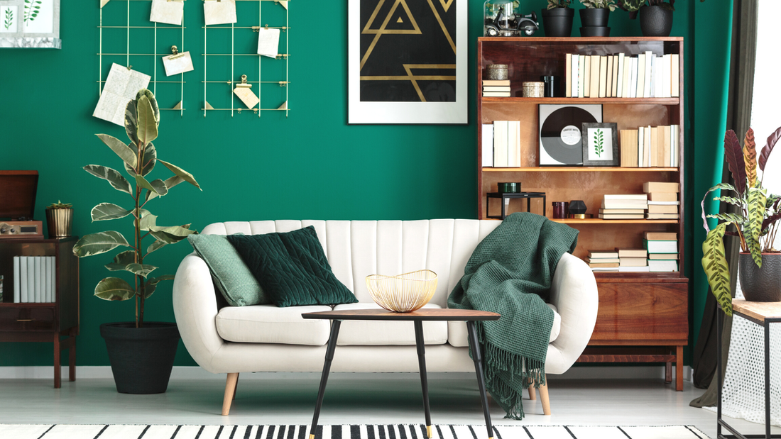 Picture of a living room with colourful green wall
