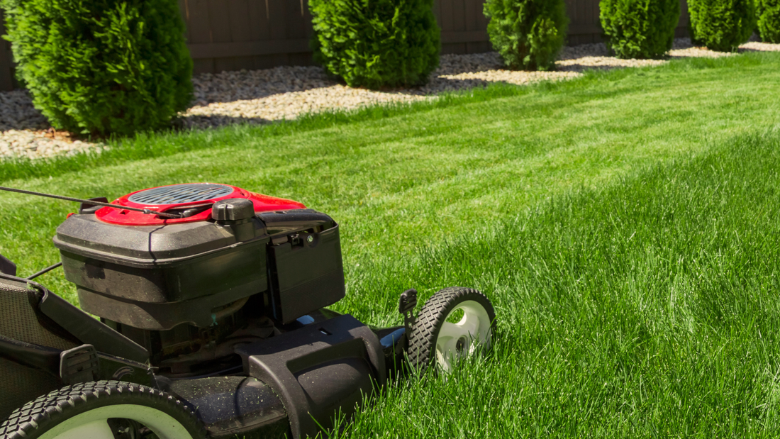 Picture of lawn mower