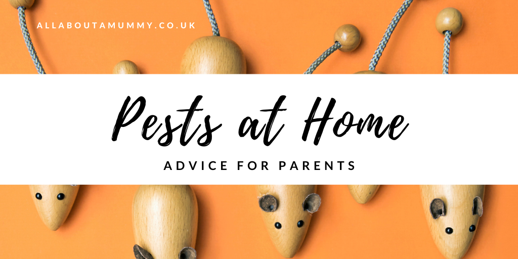 Picture of wooden mice with blog post title 'Pests at Home - Advice for Parents'