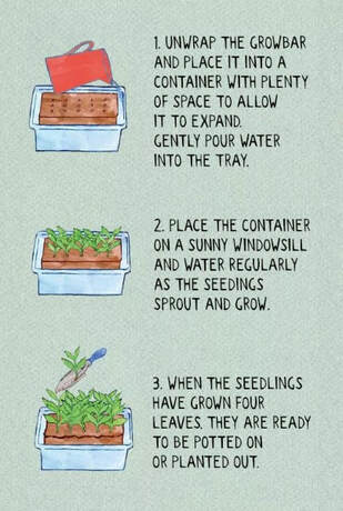 Pictoral instructions of how to plant the growbar