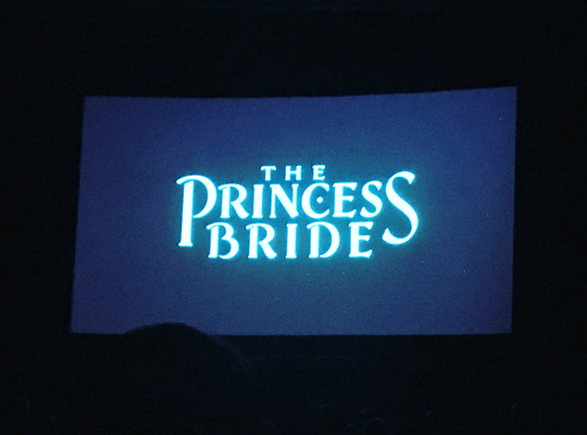 Picture of The Princess Bride 30th Anniversary Screening screen
