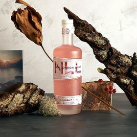 Salcombe Non Alcoholic Pink Gin Picture